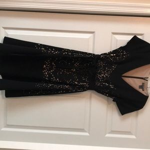 A pea in the pod maternity cocktail dress